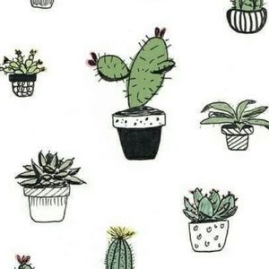 Meet your Posher, Kailey